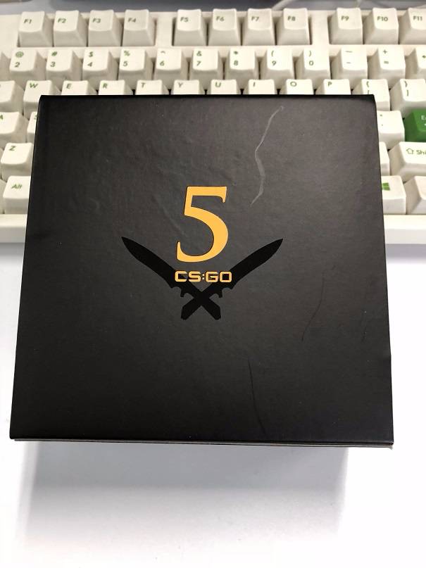 csgo5年老兵收藏币