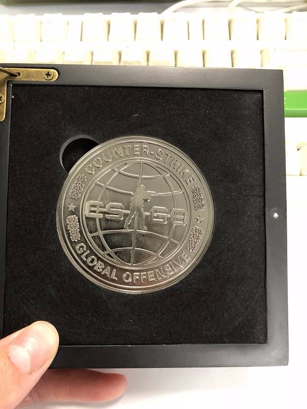 csgo5年老兵收藏币